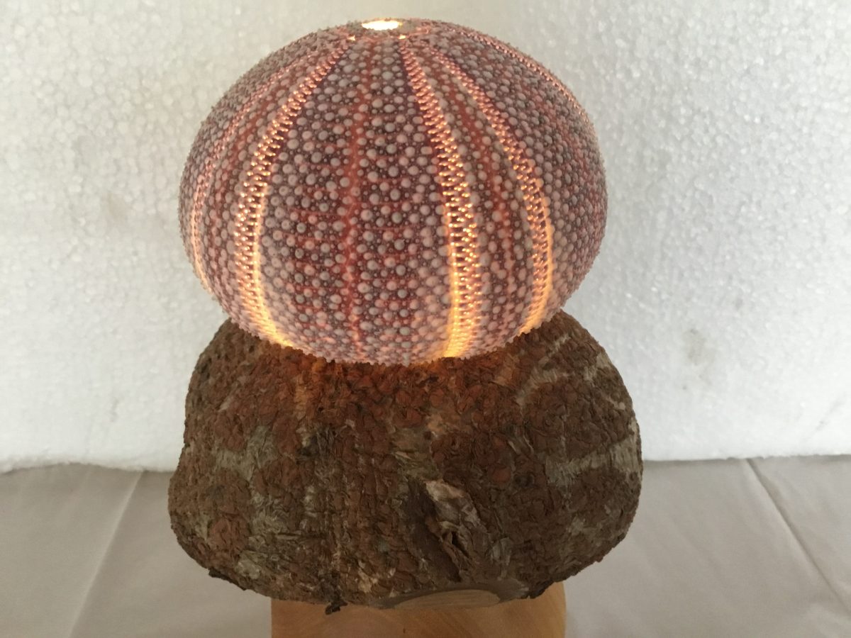 Soepindsvin-på-træfod-m-lys