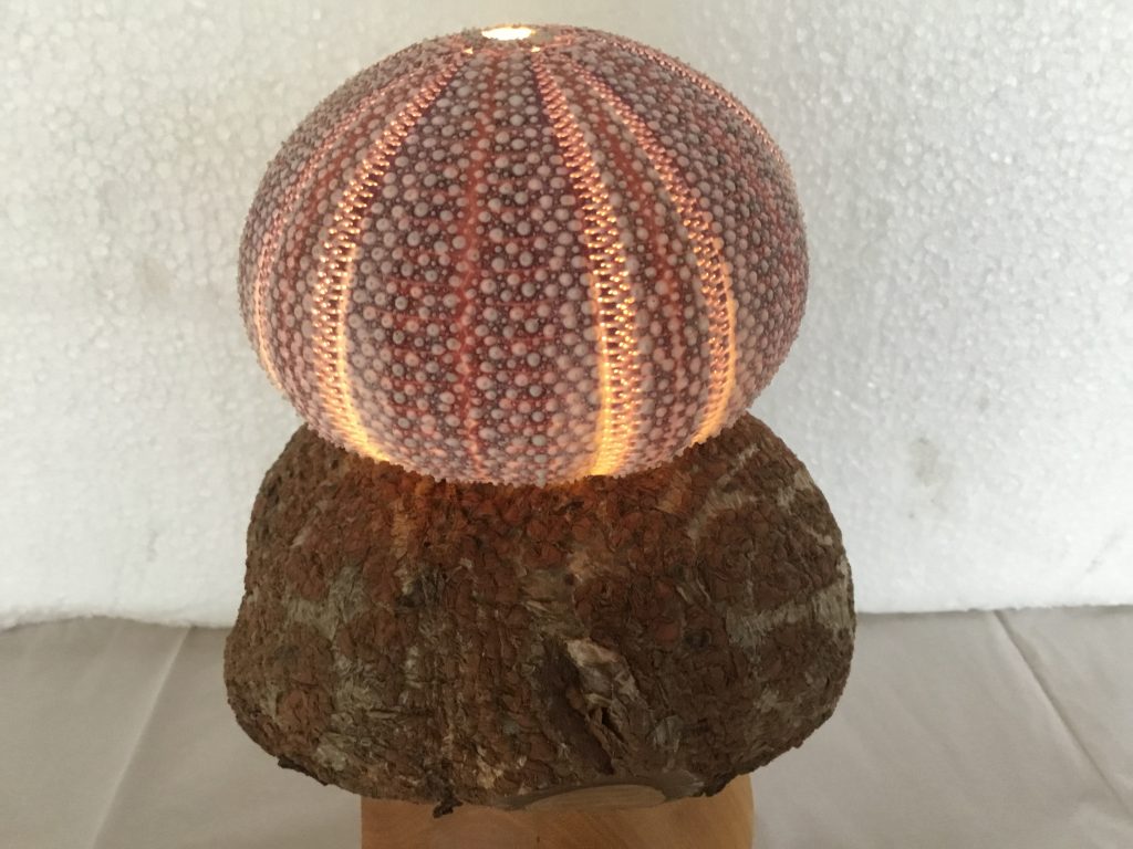 Soepindsvin-på-træfod-m-lys